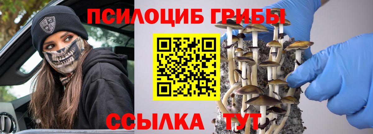 Псилоцибиновые грибы Magic Shrooms Сертолово